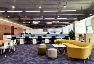 自动卷拉簧机报价