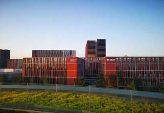 黑龙江礼品纸卡批量定制