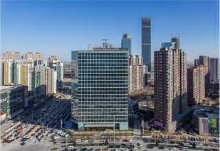 保山绿宝石蓝莓苗种植基地