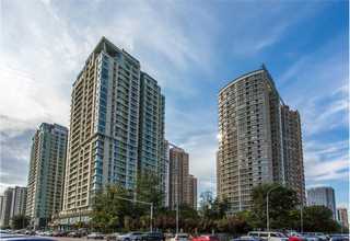 茂名采光井造景电话
