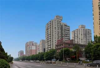 广东全自动冲管机供货厂家